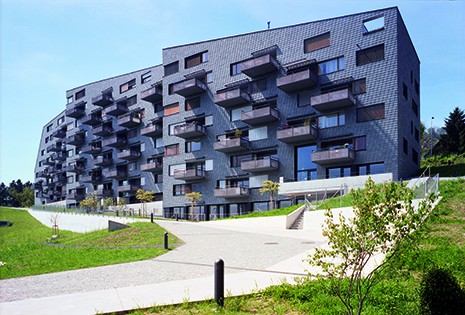 (BDT_16_051) Housing Complex on Leimbachstrasse