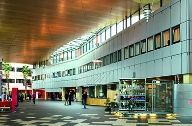 (BDT_21_013) Public Spaces in and Around the Hospital: Streets, Squares, Patios, Waiting Areas, Healing Gardens