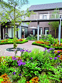 (BDT_22_003) “De Hogeweyk” Dementia Village